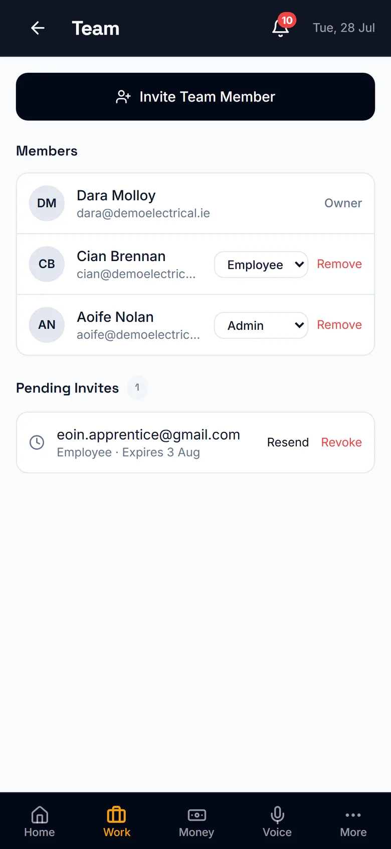 Grafta's team screen with members, roles and a pending invite
